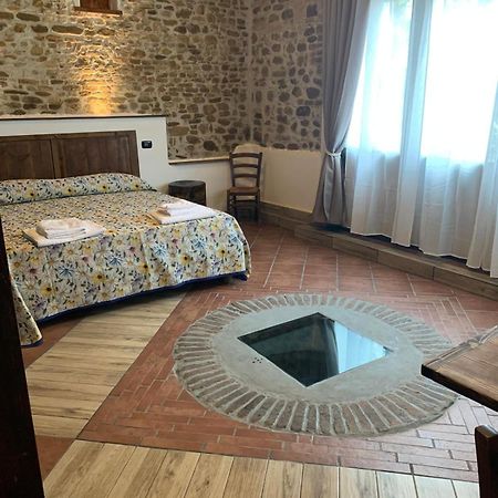 San Savino  Ca'Silvia Bed & Breakfast エクステリア 写真