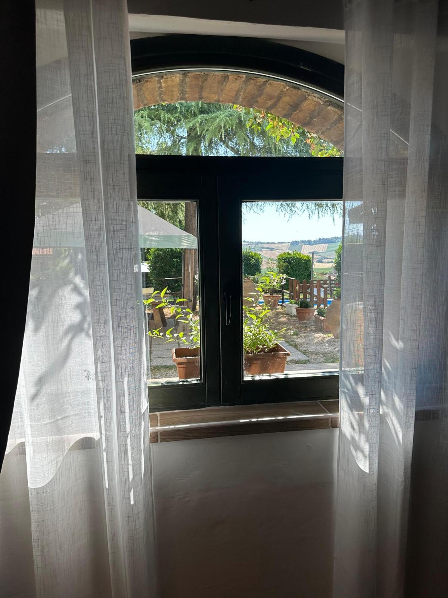 San Savino  Ca'Silvia Bed & Breakfast エクステリア 写真