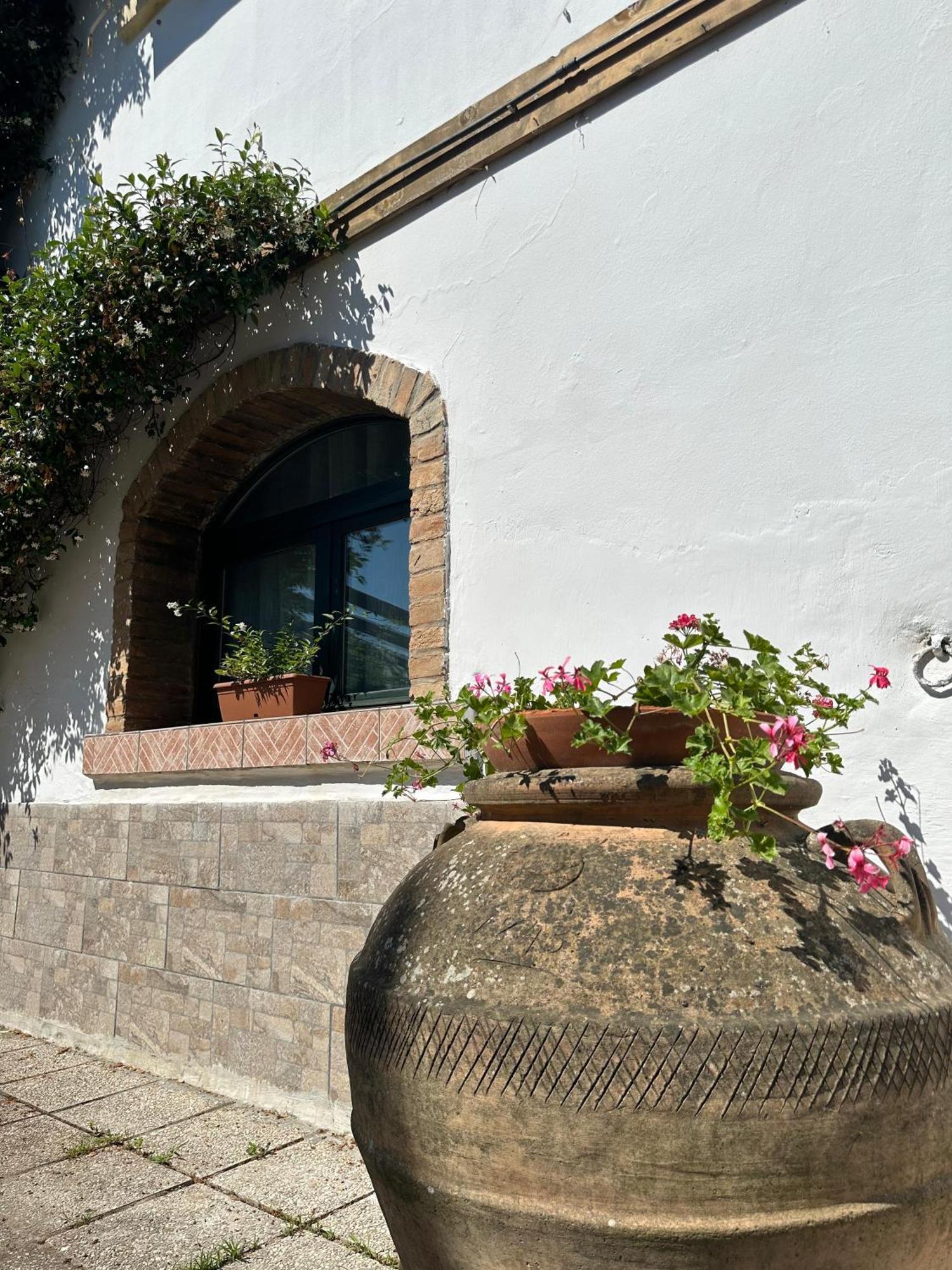 San Savino  Ca'Silvia Bed & Breakfast エクステリア 写真